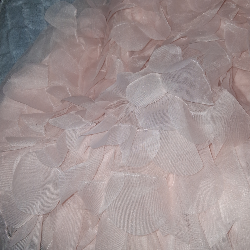 Vera Wang Blush Pink Tulle Gown, Missing Black Sash; Otherwise Perfect Condition